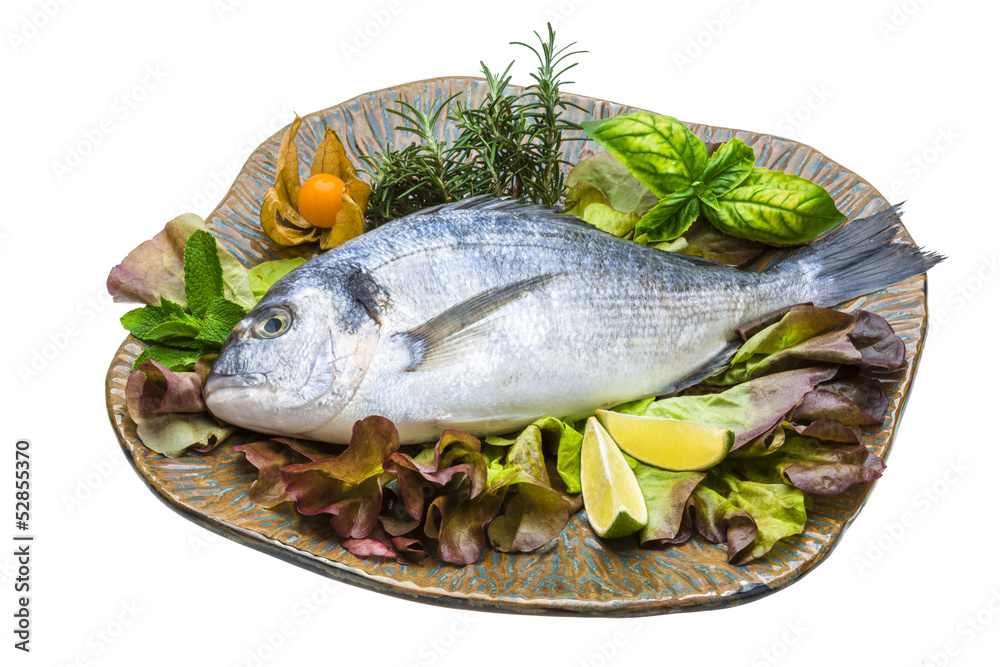 Fresh raw dorada Fresh raw dorada