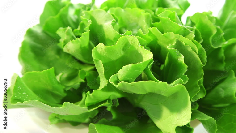 Lettuce Lettuce