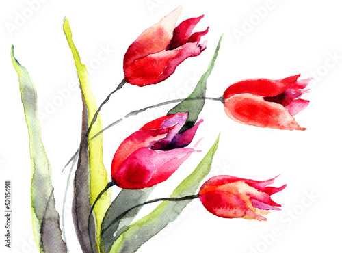 Tulips flowers