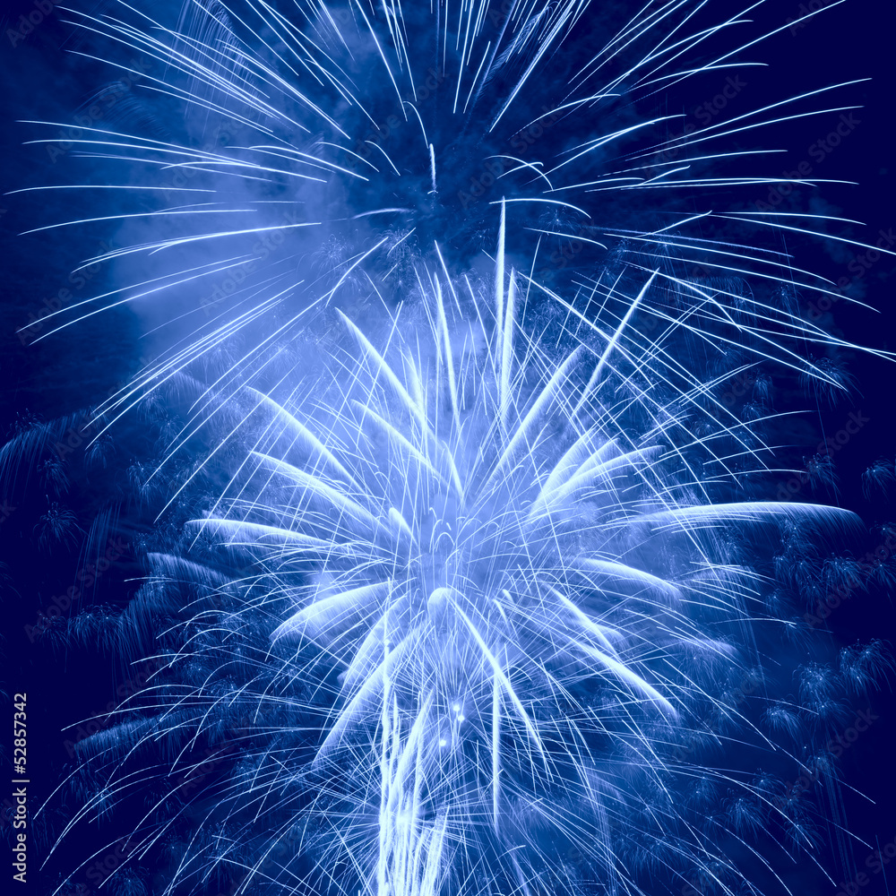 Obraz premium Fireworks