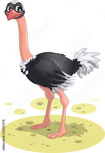 ostrich