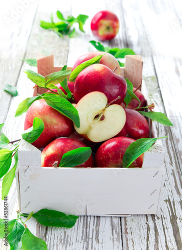 Fresh red apples