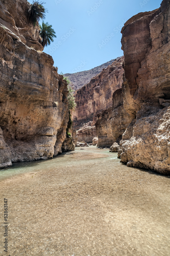 Wadi Hasa creek in Jordan