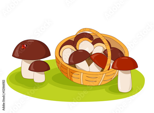 Wicker basket with mushrooms