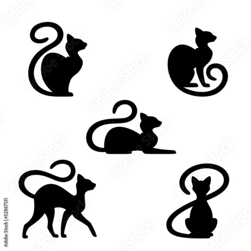 Cat set