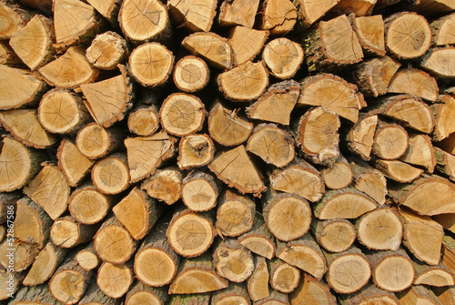 Pile of wood logs, structured background