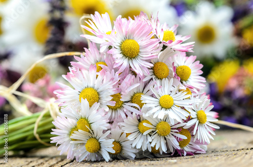Fototapeta Naklejka Na Ścianę i Meble -  Gänseblümchen-Strauß