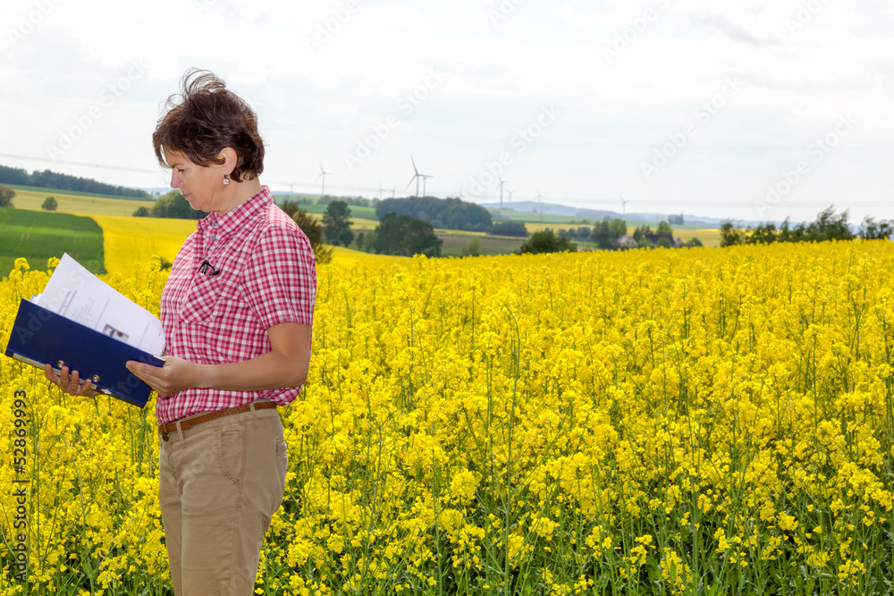 Agraringeneur at the rape field Agraringeneur at the rape field