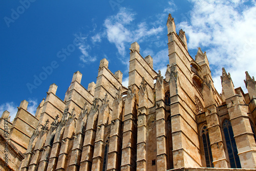 Detail of Mallorca cathedral in Palma  Spain