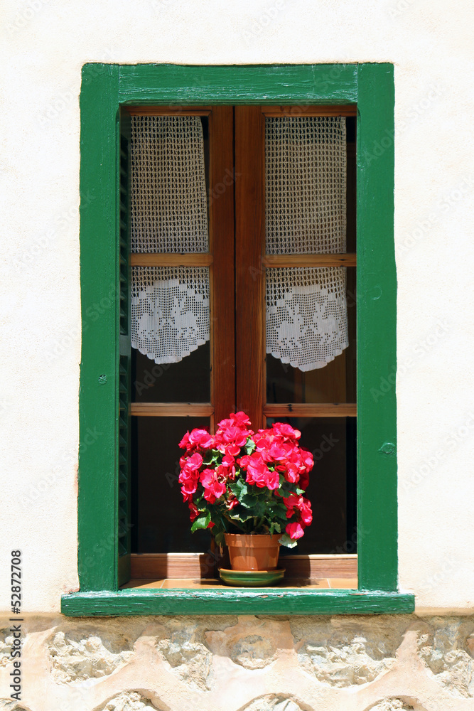 Window with flower pot on the building wall