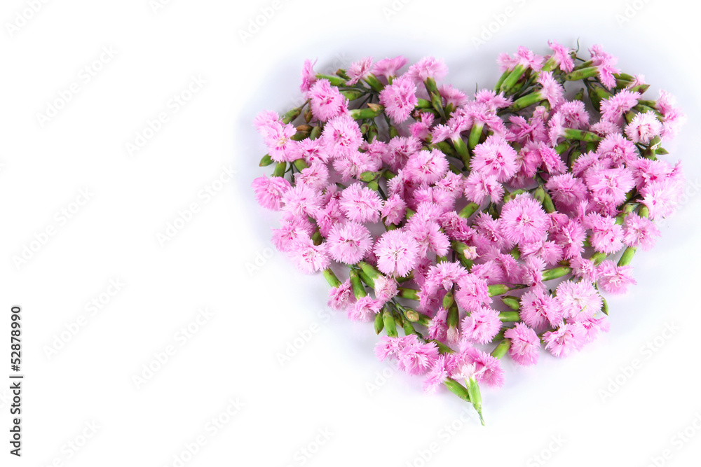 Heart of small pink cloves isolated on white