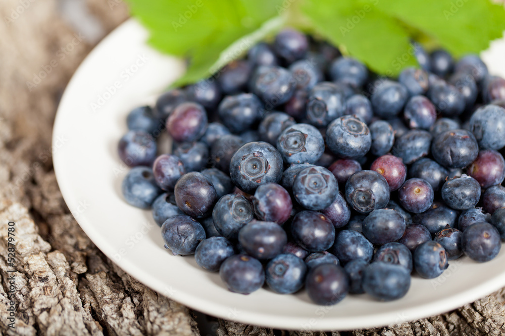 Plate of blueberries Plate of blueberries