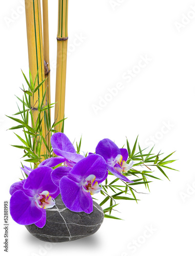 Fototapeta Naklejka Na Ścianę i Meble -  bambou, orchidée et galet zen