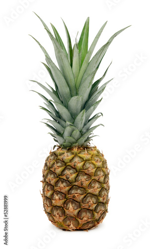 One whole ripe pineapple (isolated)