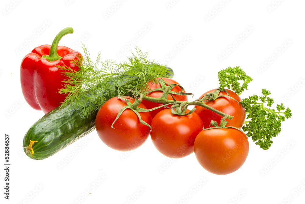Red ripe tomatoes on the branch Red ripe tomatoes on the branch