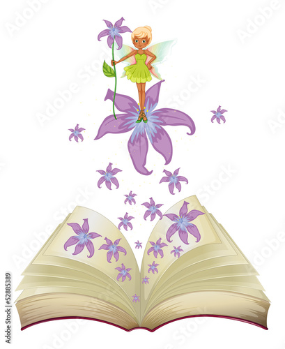 A book with an image of a fairy and flowers