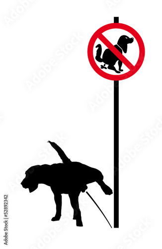 pinkelnder Hund