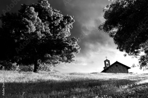 Chapel next to big tree on top of a grass hill - B&W