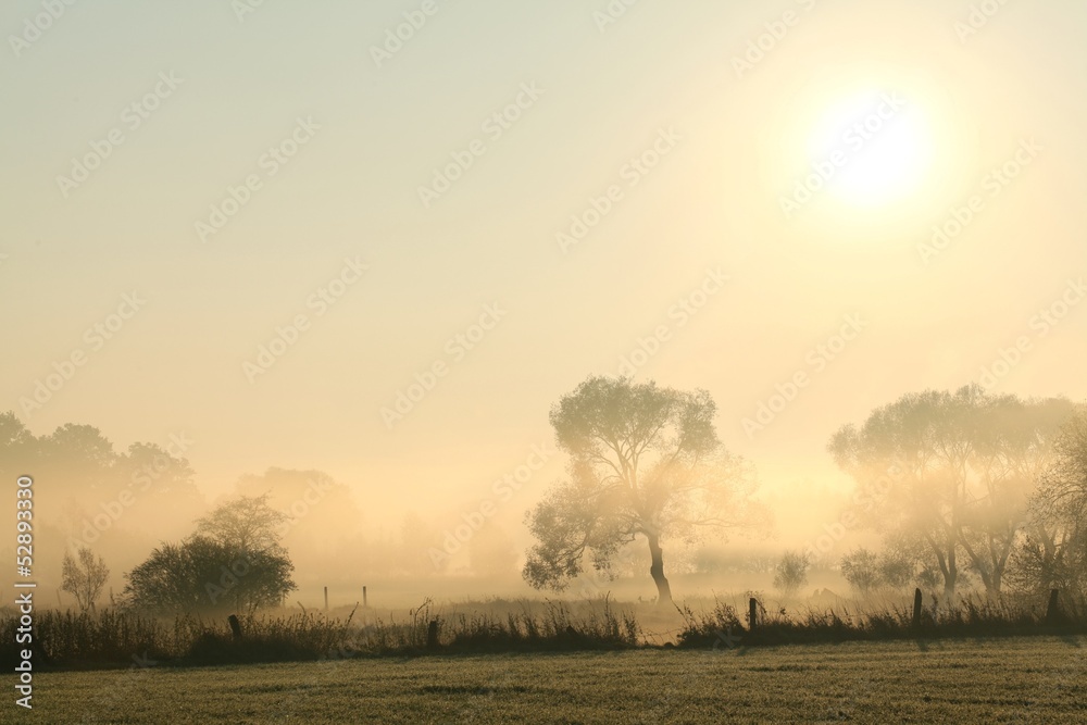 Rural landscape in a misty October morning