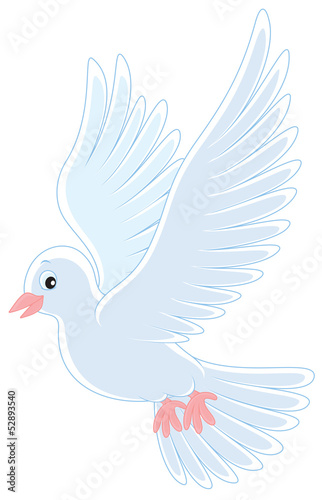 White pigeon flying © Alexey Bannykh
