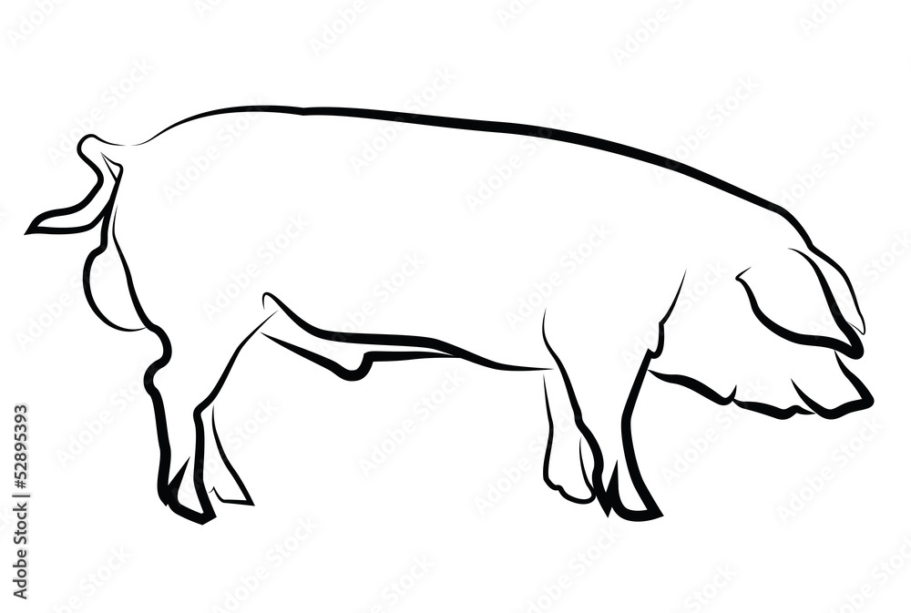 Pig silhouette isolated on white Pig silhouette isolated on white