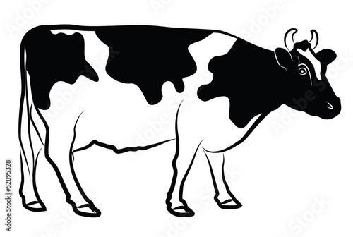 Cow silhouette isolated on white