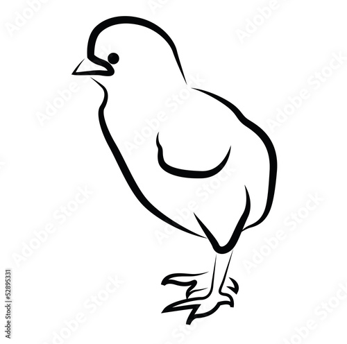 Chicken silhouette isolated on white