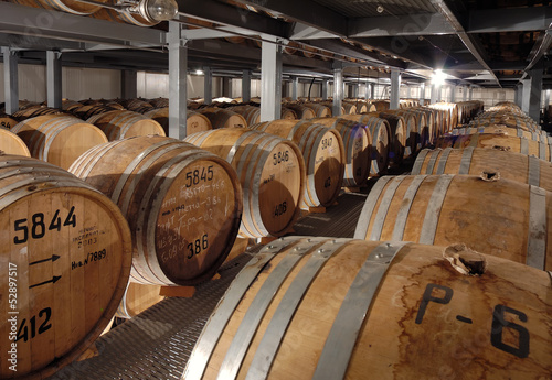 Cognac barrels in cellar