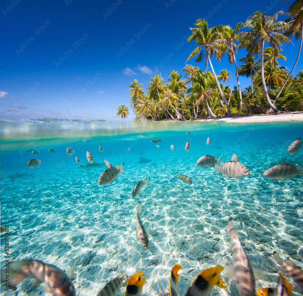 Foto Tropical island