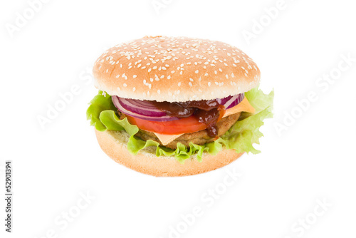Hamburger with selective focus on white