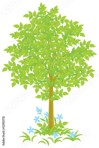 Green tree and grass with blue flowers