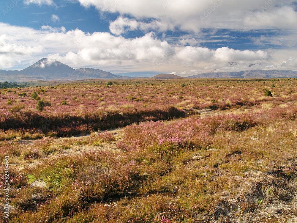 Fototapeta premium Mount Ngauruhoe in New Zealand