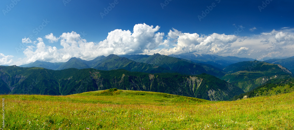Green meadow in the mountain valley. Beautiful landscape