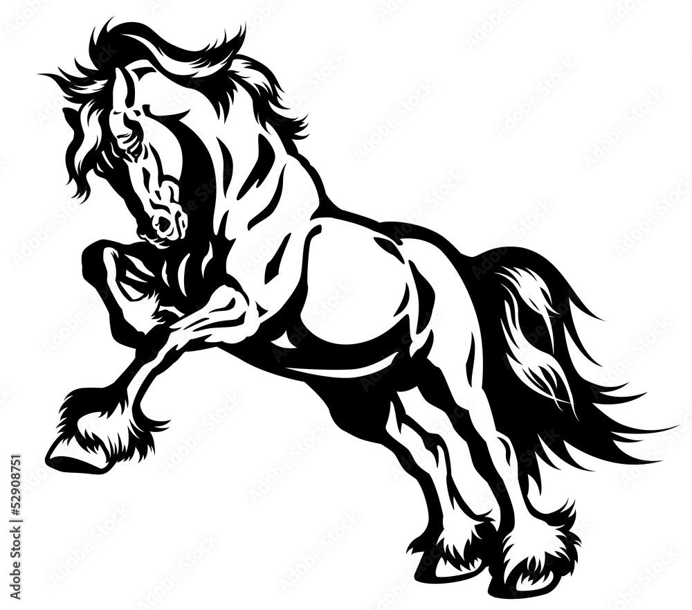 draft horse in motion black white draft horse in motion black white
