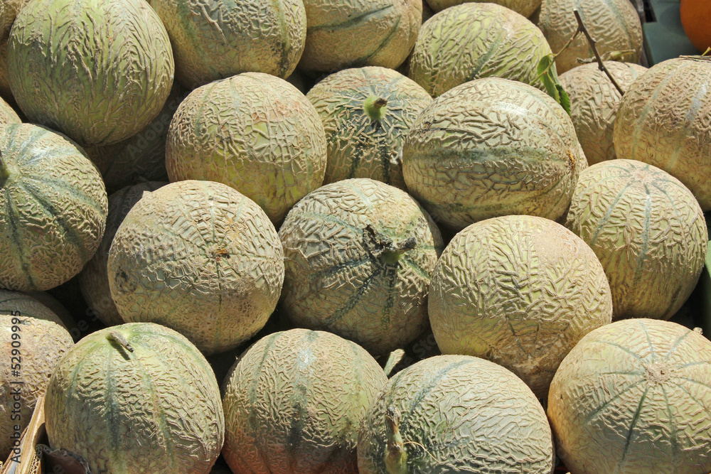 Fototapeta premium Etalage de melons