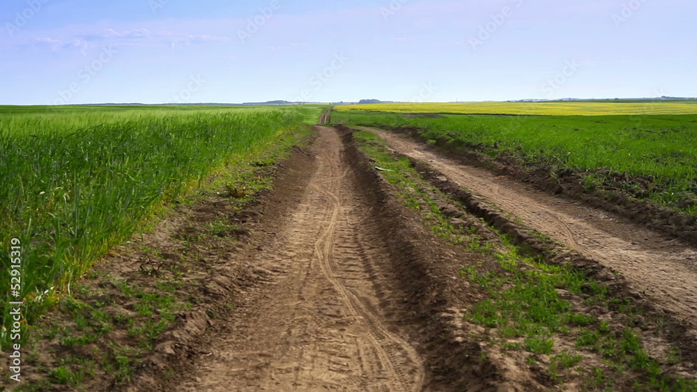 road, field and blue sky