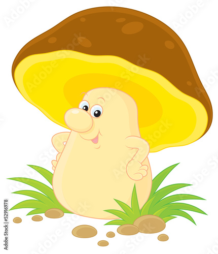 Mushroom