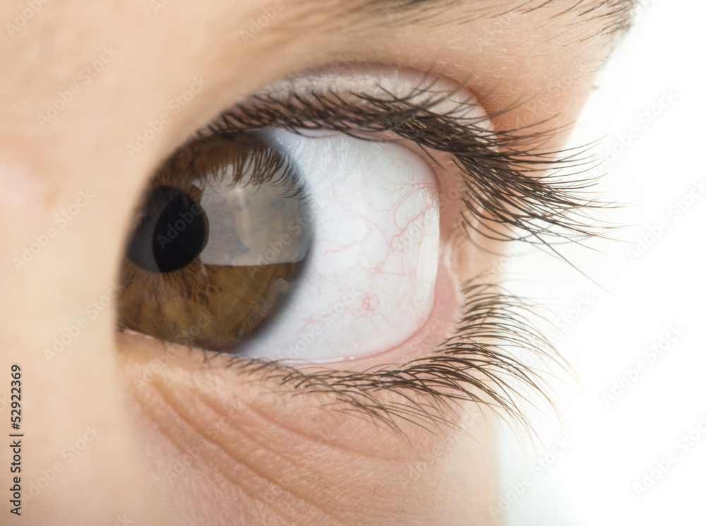 Obraz premium Human eye brown color