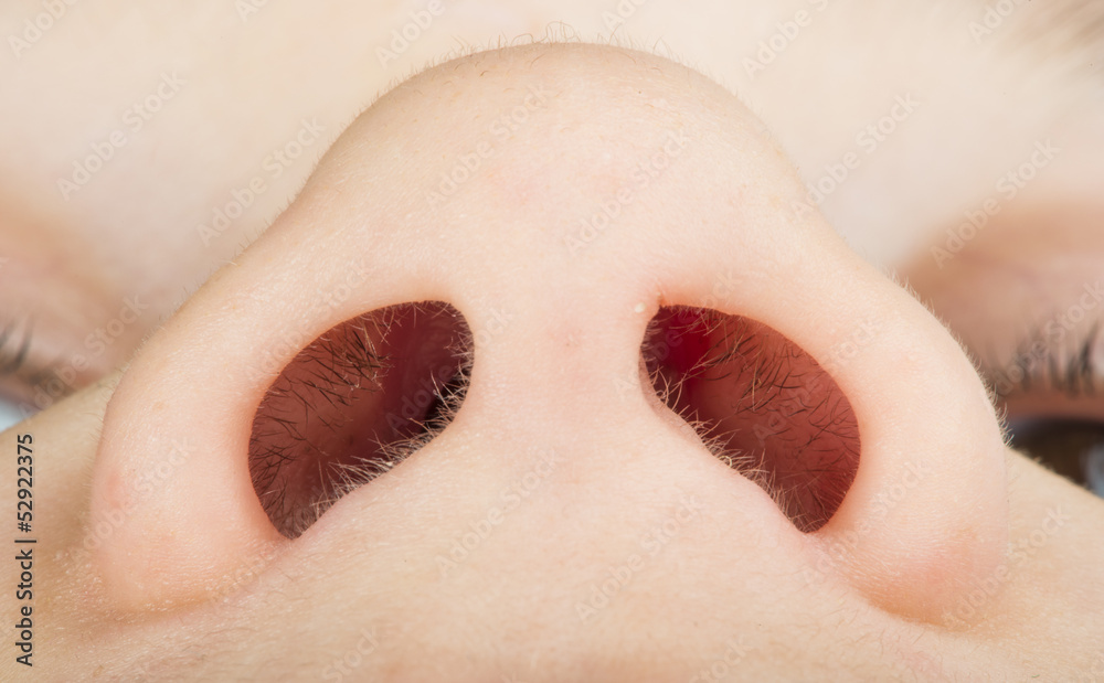 Fototapeta premium Human nose