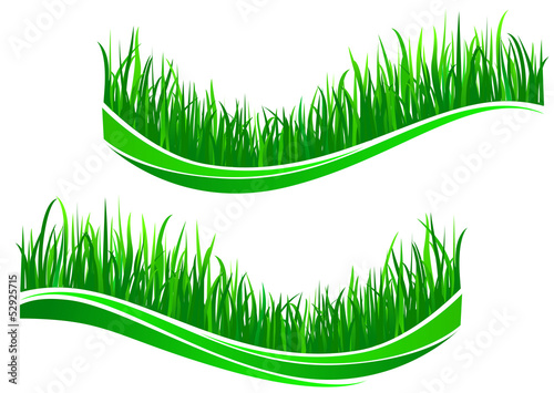 Green grass waves