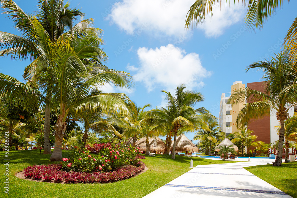 Fototapeta premium Beautiful tropical garden.