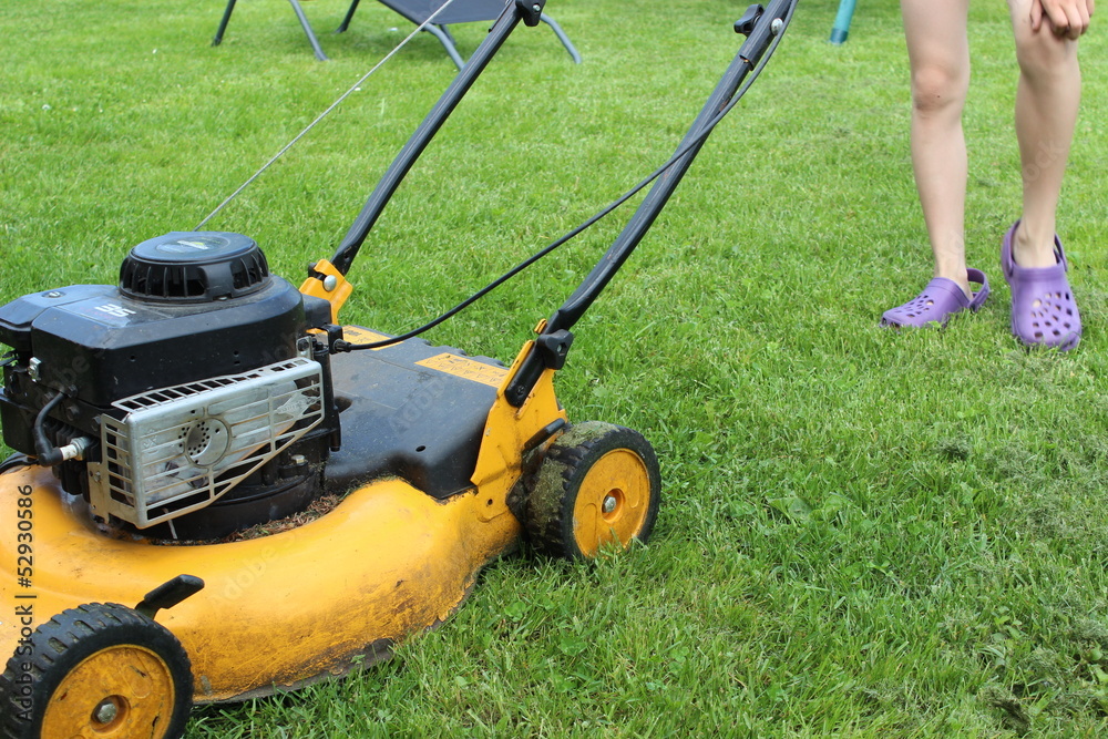 Fototapeta premium lawn mower