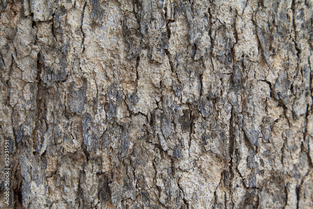 wood peel pattern wood peel pattern