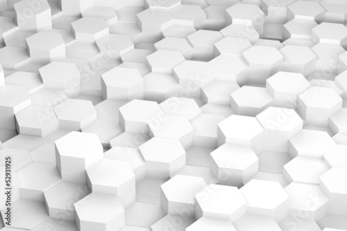 Hex Forest Background