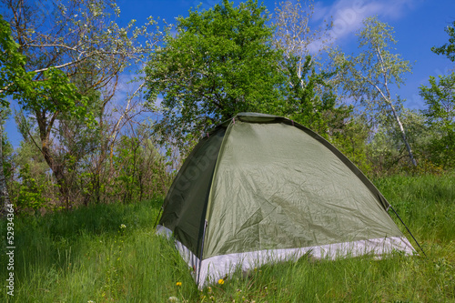 touristic tent in a forest