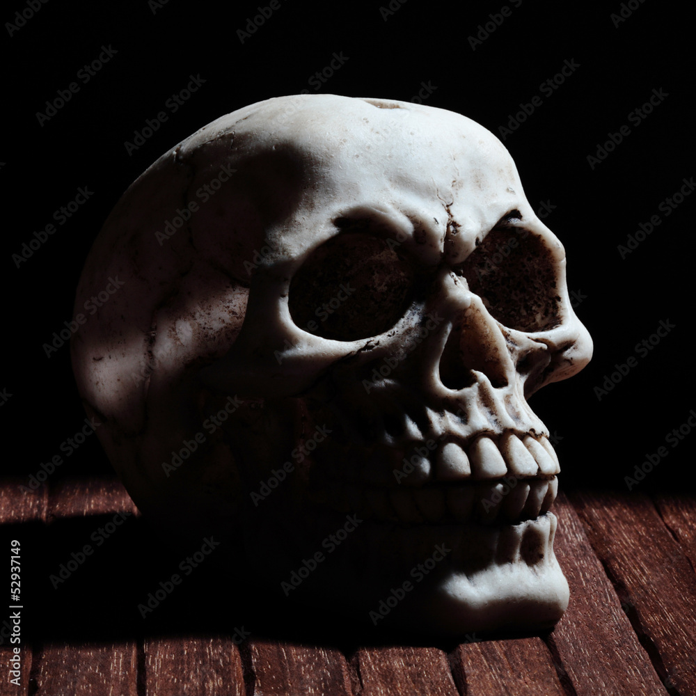 Obraz premium human skyll