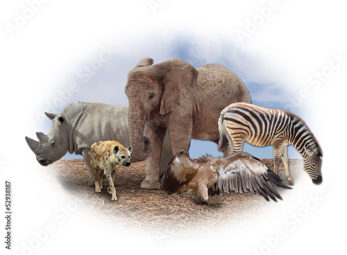 Fototapeta Naklejka Na Ścianę i Meble -  african animals