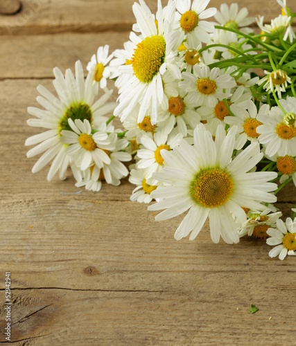 Fototapeta Naklejka Na Ścianę i Meble -  bouquet of fresh daisies on a wooden background