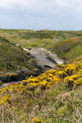 Porthclais near St David's West Wales photo