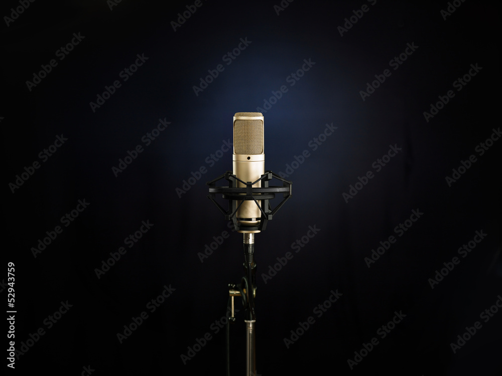 The Golden Microphone The Golden Microphone